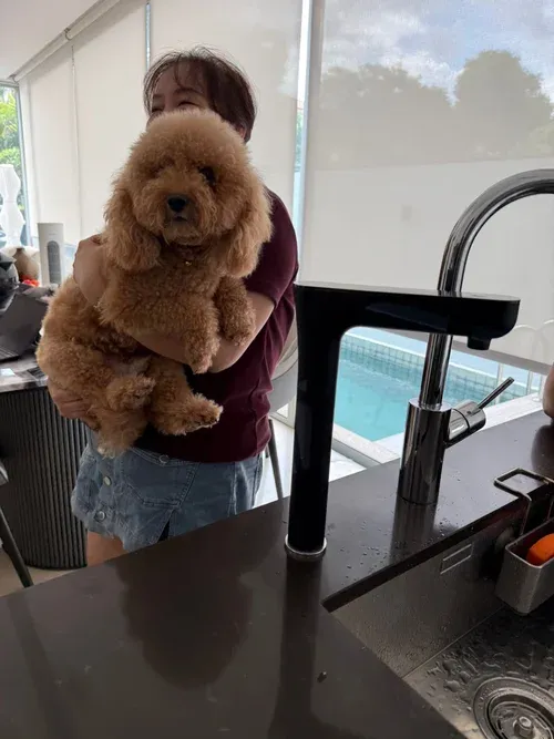 AquaLuxe customer holding their dog beside the EliteTap tap